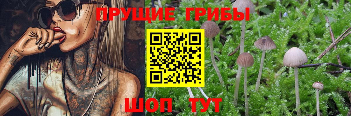 Галлюциногенные грибы GOLDEN TEACHER Полевской